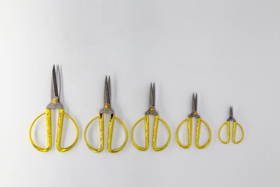 Imperial Scissors - Dragon & Phoenix