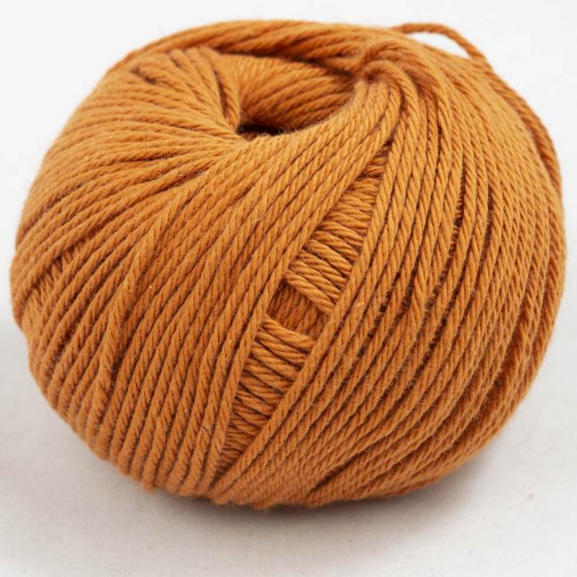 Gossypium cotton - Image 14