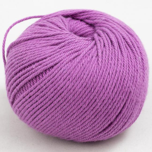 Gossypium cotton - Image 10