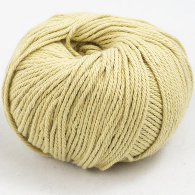 Gossypium cotton - Image 5