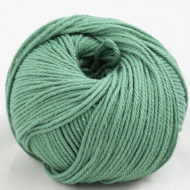 Gossypium cotton - Image 17