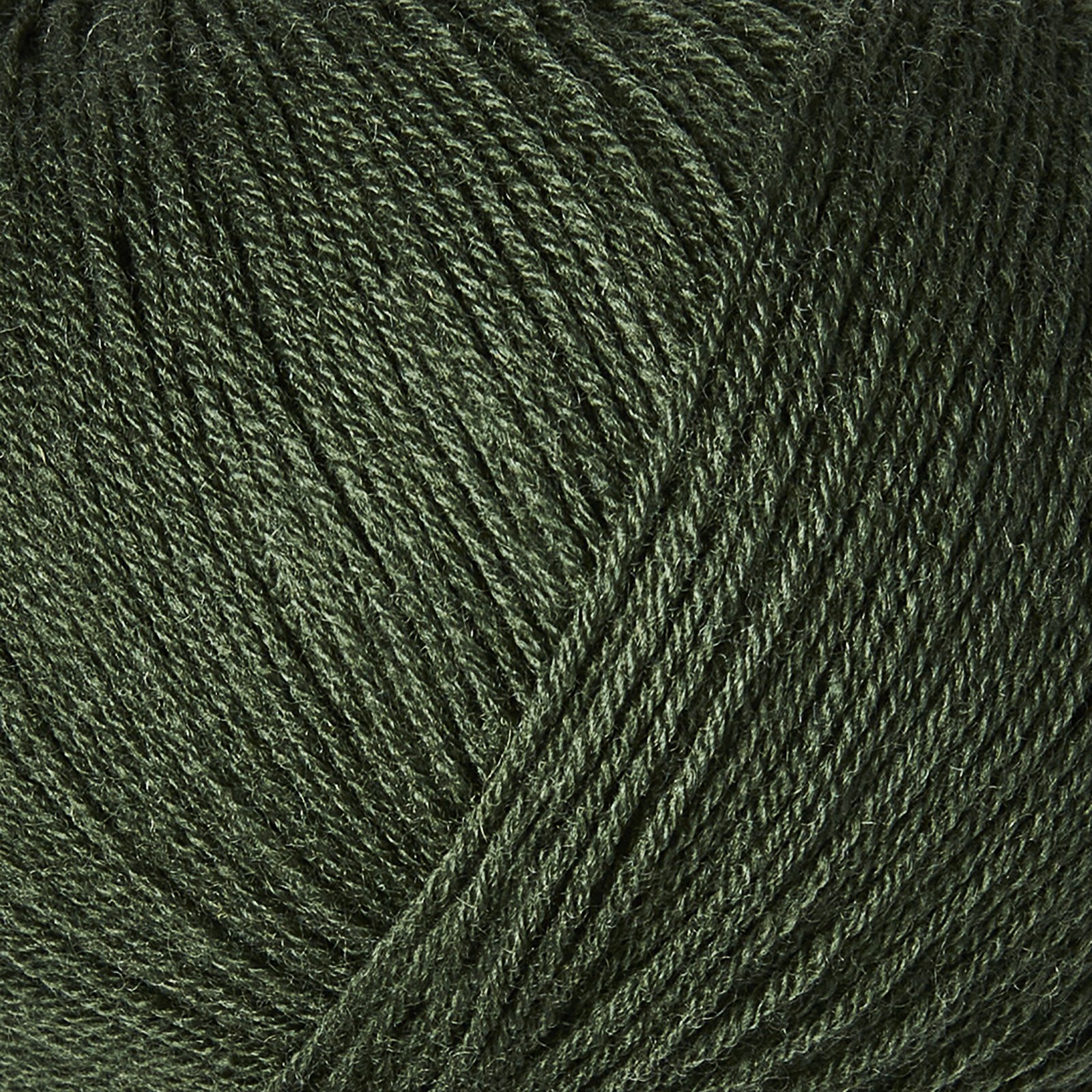 Merino - Image 6
