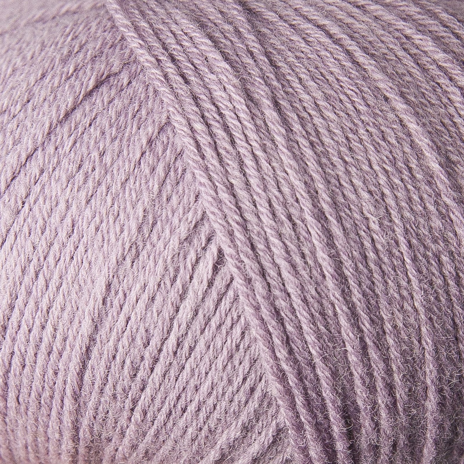 Merino - Image 2