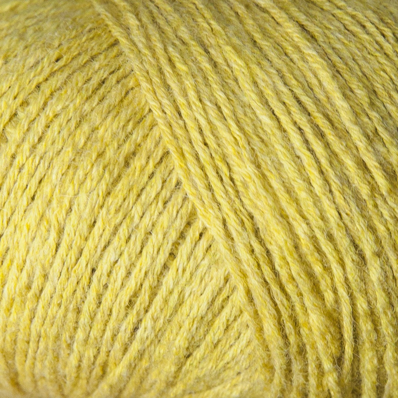 Merino - Image 24